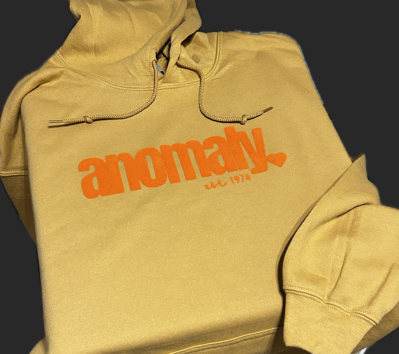 Classic anomaly🧡 Hoodie