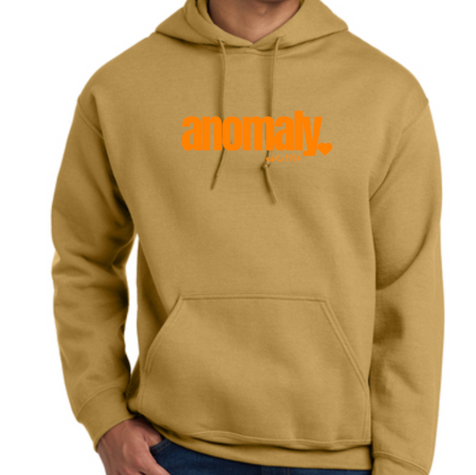 Classic anomaly🧡 Hoodie
